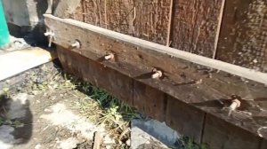 Затапливает гараж РЕШЕНИЕ ПРОБЛЕМЫ БЕЗ ЛИШНИХ ВЛОЖЕНИЙ!!!