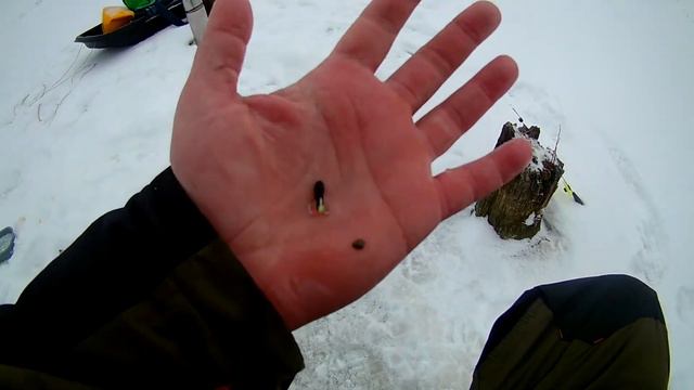 УГАДАЛ С МЕСТОМ ЛОВЛИ | ЗИМНИЕ ЖЕРЛИЦЫ СТРЕЛЯЛИ ОДНА ЗА ОДНОЙ смотреть онлайн