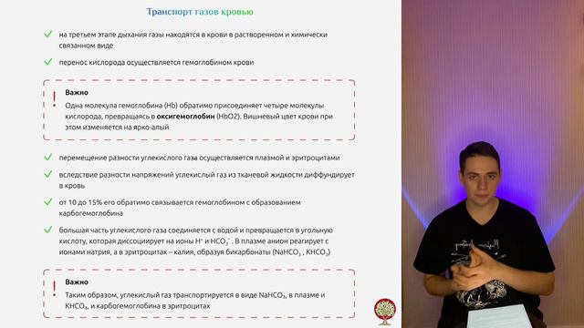 Дыхательная система для ЕГЭ по биологии смотреть онлайн