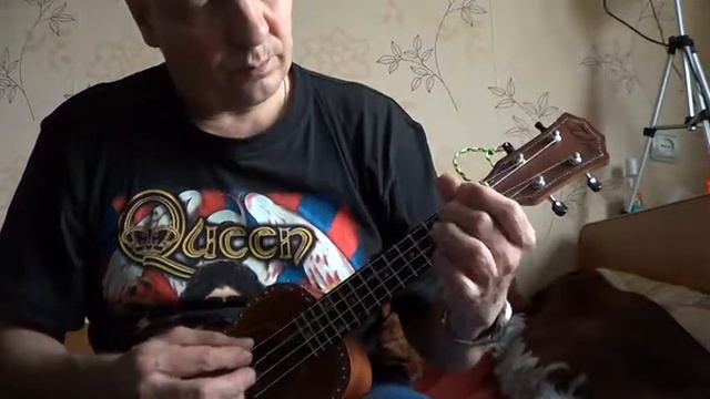 укулель степь да степь кругом смотреть онлайн