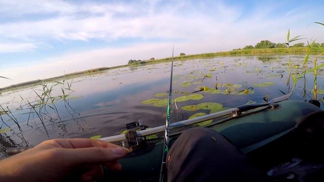 Крупный КАРАСЬ!!! Рыбалка на поплавок на вечерней зорьке осенью. Клёв карася на маховую удочку. смотреть онлайн