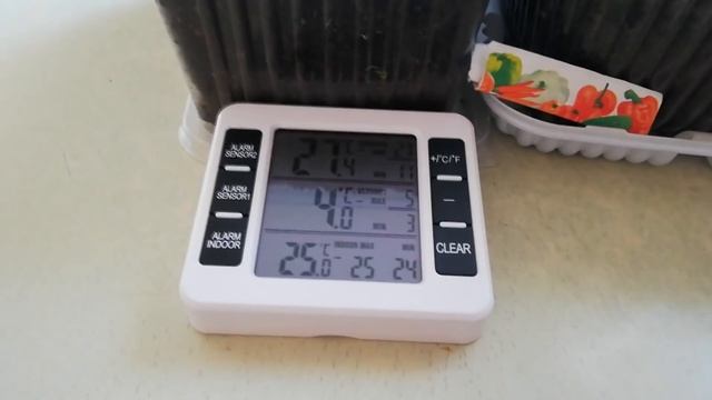 Как выглядит рассада лука на 1 марта смотреть онлайн