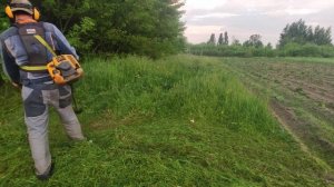 ?Бензокоса Alpina Star 55DP косит зелень $$$ / Brushcutter Alpina Star 55DP mows greenfinch