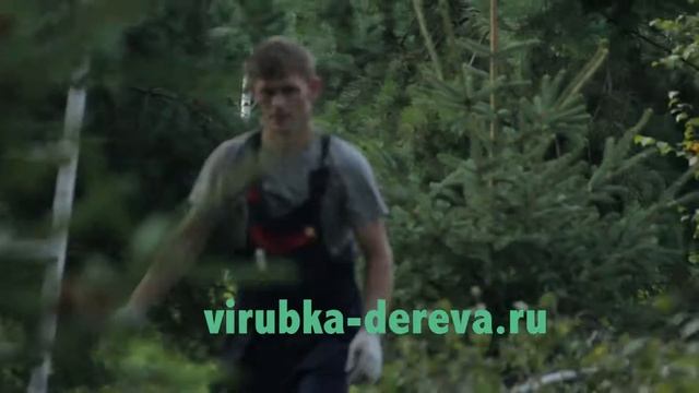 удаление 30 берез смотреть онлайн