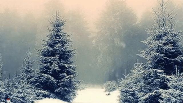 Счастлив тем, что я дышал и жил... смотреть онлайн