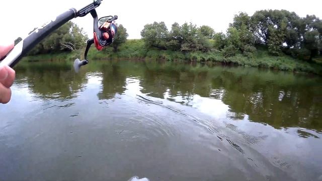 Плотва Голавль попал на клёв ловля в проводку на пшеницу смотреть онлайн