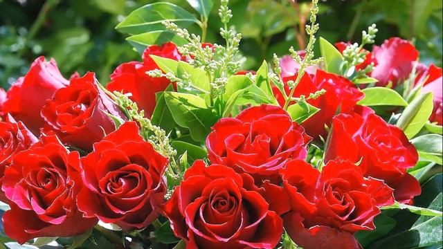 ГДЕ ЖЕ ТЫ БЫЛА АВФ смотреть онлайн