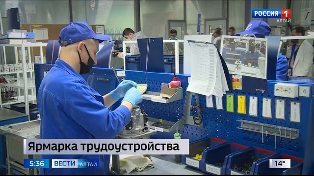 Сегодня на Алтае пройдёт второй этап Всероссийской ярмарки трудоустройства смотреть онлайн