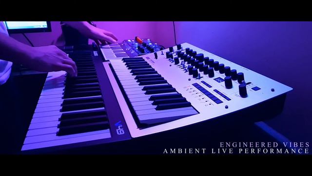 Live Ambient Performance with the Microfreak and Minilogue смотреть онлайн