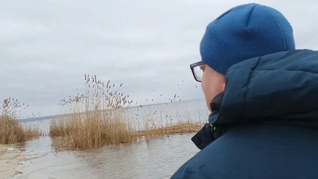 ТАГАНРОГ. "ДИКИЙ"ПЛЯЖ ОКОЛО "АКВАПАРКА" смотреть онлайн