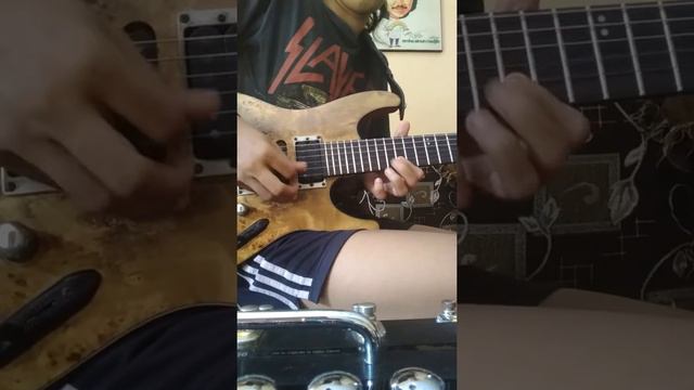Test Ibanez S PB770 Poplar Series