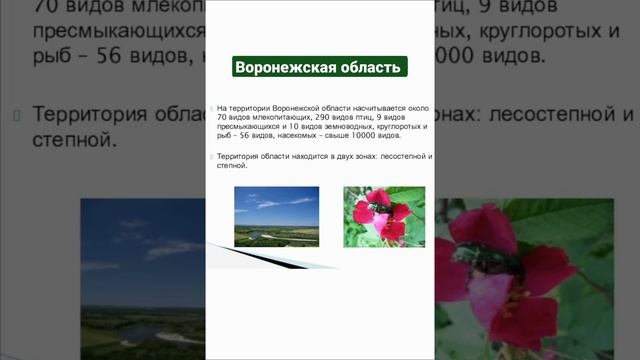 воронежская область #подпишись #география #лайк #воронеж #россия смотреть онлайн