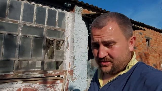 карликовые курочки сели насиживать)) смотреть онлайн