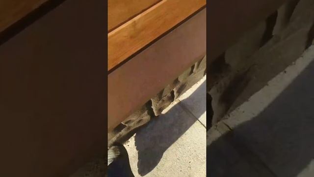 Прорезиненная цокольная панель "Камень" смотреть онлайн