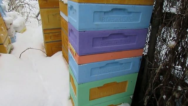 подкормка пчел в феврале - ответы на вопросы смотреть онлайн