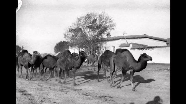 На тарантасе | Из Стамбула в Ташкент: Фотопленки Поля Надара (1890). Часть 13 смотреть онлайн