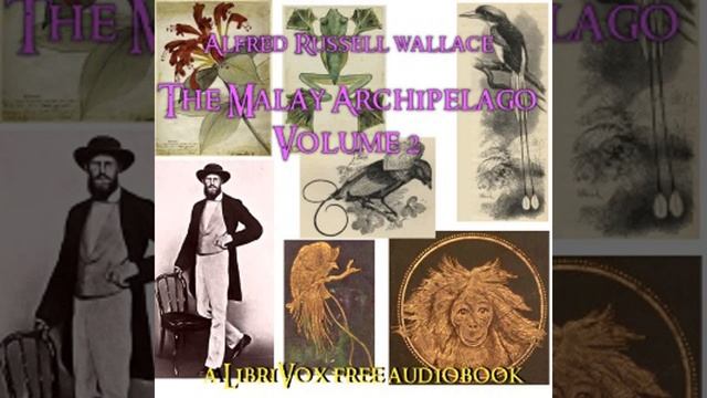 The Malay Archipelago, Vol. 2 by Alfred Russel WALLACE read by Various Part 2/2 | Full Audio Book смотреть онлайн