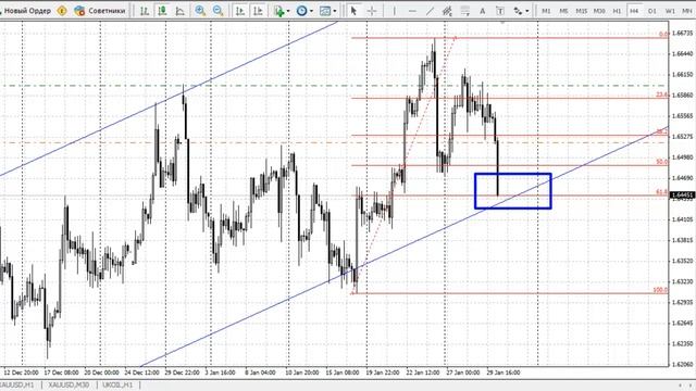 Обзор рынка FOREX 30 01 2014 смотреть онлайн