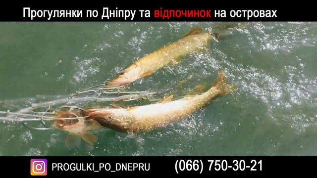 Прогулки на лодке по Днепру смотреть онлайн