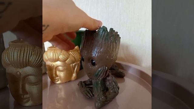 Кротон нашей бабушки, новинки горшков и растений? смотреть онлайн