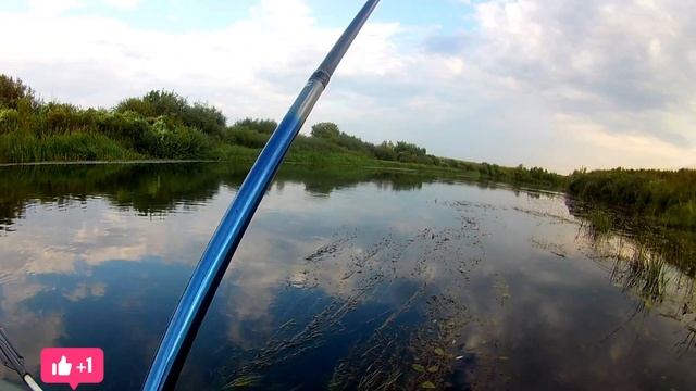 Ловля Рыбы на водоросли #ловлярыбы #рыбалка смотреть онлайн