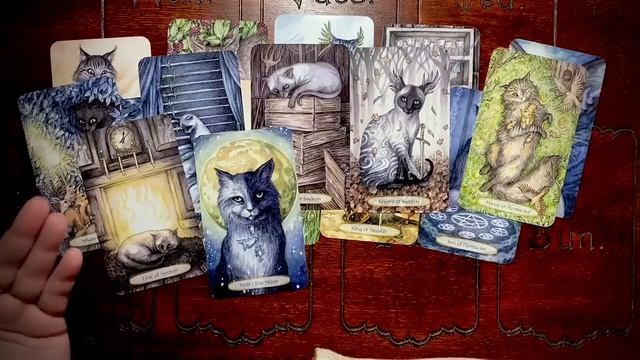 ЭТО СЛУЧИТСЯ В БЛИЖАЙШИЕ ДНИ! ЧТО ТЕБЕ ПО СУДЬБЕ СО ДНЯ НА ДЕНЬ? Онлайн гадание смотреть онлайн