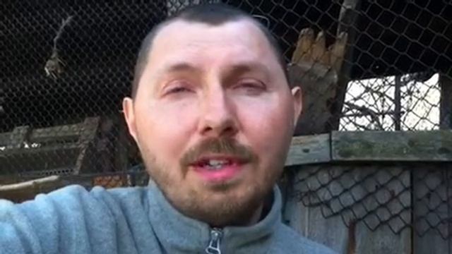 МЫ НЕ ДОЛЖНЫ СОМНЕВАТЬСЯ СЛЕДУЯ ЗА ИИСУСОМ смотреть онлайн