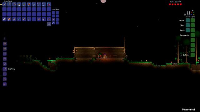 DS&J Attempt Terraria. смотреть онлайн