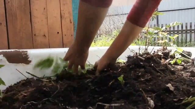 Как сделать яркую КЛУМБу из старой ванны своими руками? Дача Удачи смотреть онлайн
