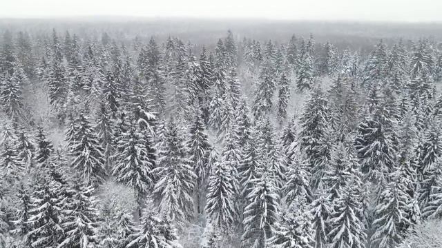 Поль Мориа Падает снег смотреть онлайн