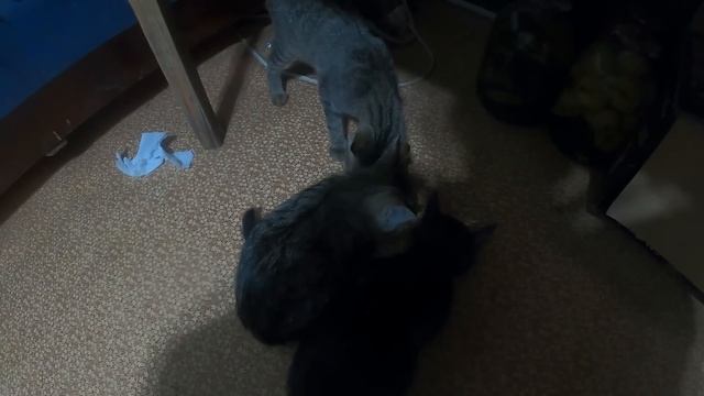 ДЕРЕВЕНСКИЙ ВЛОГ/ ГОТОВИМ УЖИН смотреть онлайн