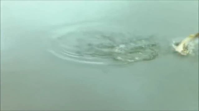 САМЫЕ БОЛЬШИЕ ЩУКИ! #7 смотреть онлайн