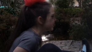 Подарок для слона