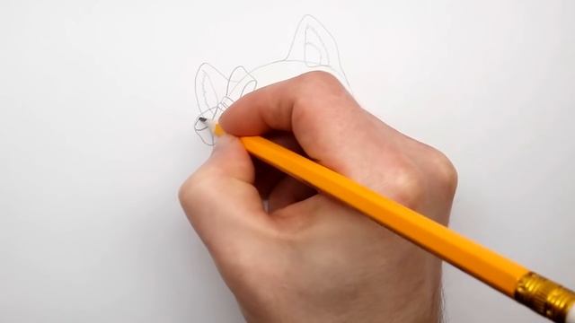 How to Draw a Cat with a Heart ❤ Как Нарисовать Кошку с Сердечком смотреть онлайн