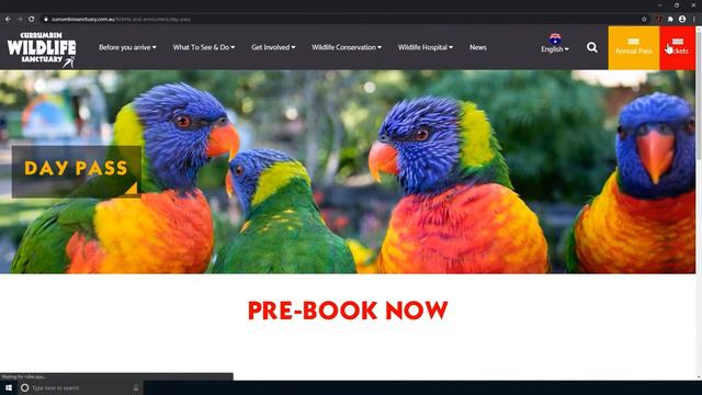We are OPEN | Currumbin Wildlife Sanctuary смотреть онлайн