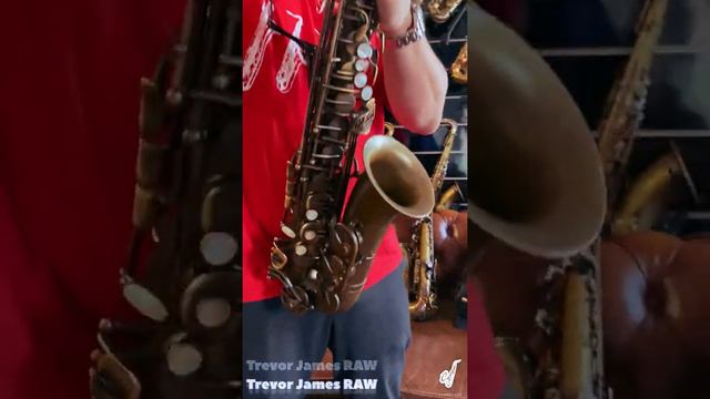 Vintage SELMER M.6 VS Trevor James RAW смотреть онлайн