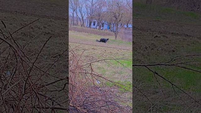 Повышенное атмосферное давление