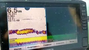 Garmin echomap plus 93sv огромная стая белой рыбы