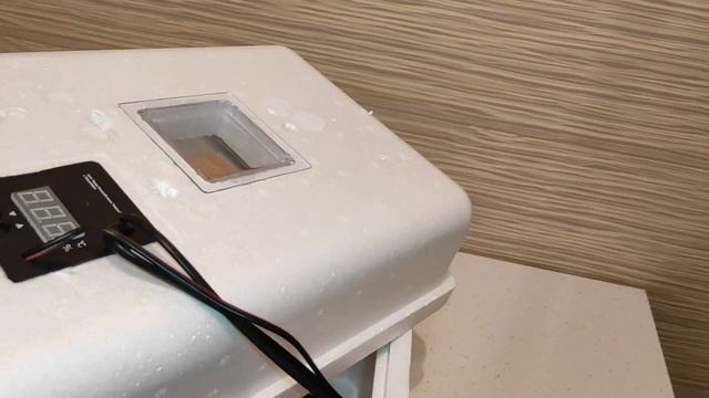 Обзор Инкубатора Несушка с цифровым терморегулятором 36 яиц автопереворот 12В гигрометр вентилятор смотреть онлайн