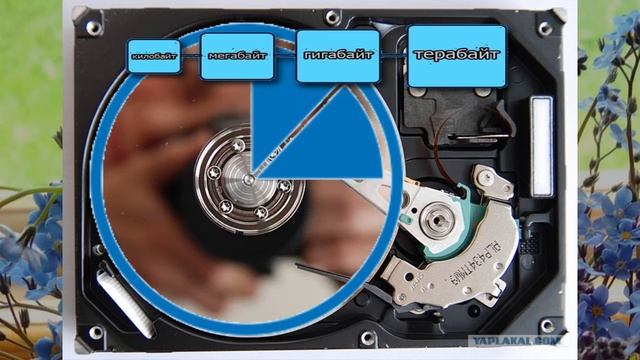 ШЭКГ. Урок 05.2 5 способов запомнить информацию на компьютере. Что надо знать предварительно? смотреть онлайн