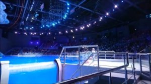 Сон в летнюю ночь. Москвариум 2019. Парк ВДНХ. Косатки.Мюзикл на воде