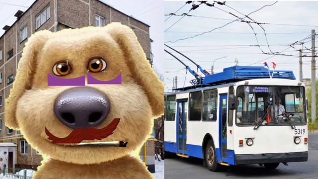 твой троллейбус:
