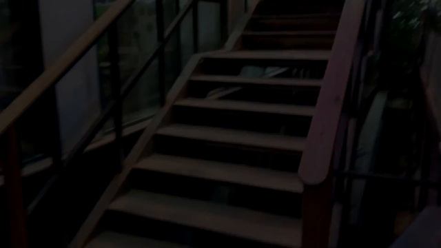 Оранжерея в Аптекарском огороде смотреть онлайн