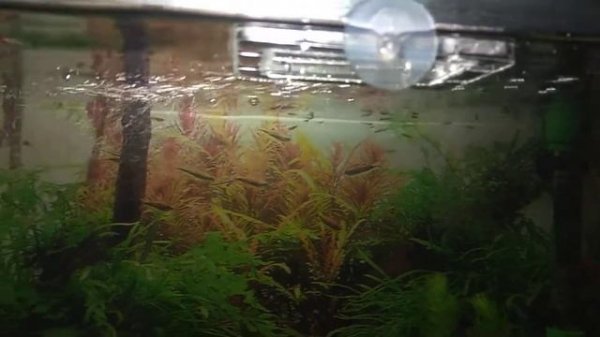 Фильтр внутренний BARBUS FILER 005 Секционный угловой