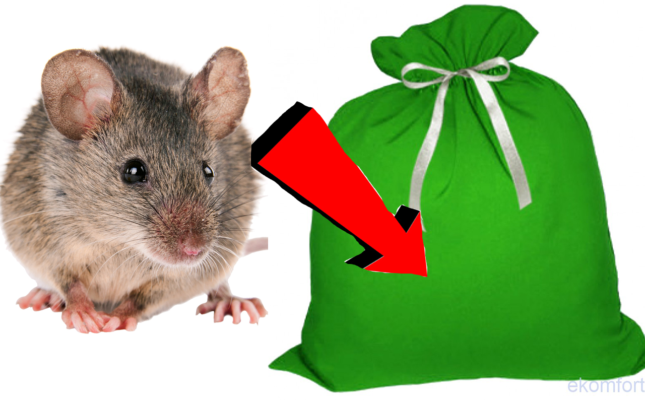 КАК Я БЫСТРО ИЗБАВИЛСЯ ОТ МЫШЕЙ! МЫШИ БОЛЬШЕ НЕ СКРЕБУТСЯ! смотреть онлайн