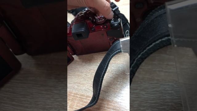 Nikon P520