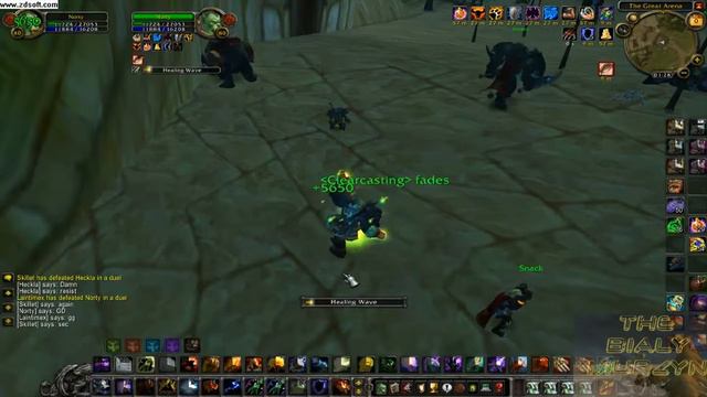 World of warcraft shaman t9 v c n 3 2 2 PL смотреть онлайн