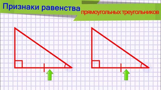 Признаки равенства прямоугольных треугольников