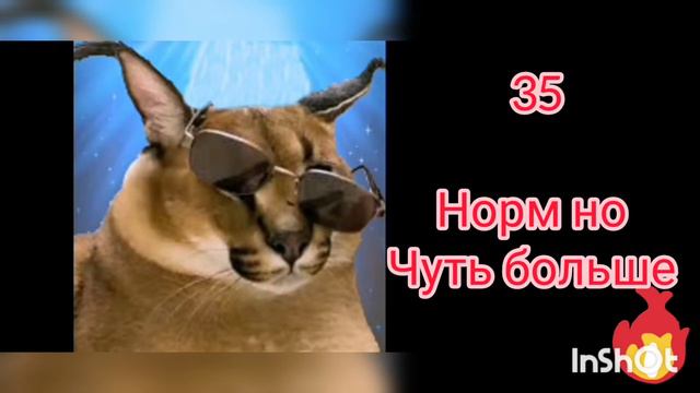 Сколько людей у тебя в классе(пиши идею в коменти и подпишись смотреть онлайн