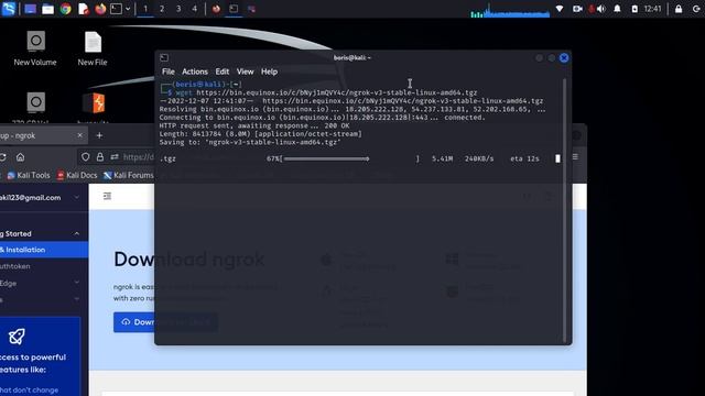 How to Install Ngrok in Kali linux 2023 смотреть онлайн